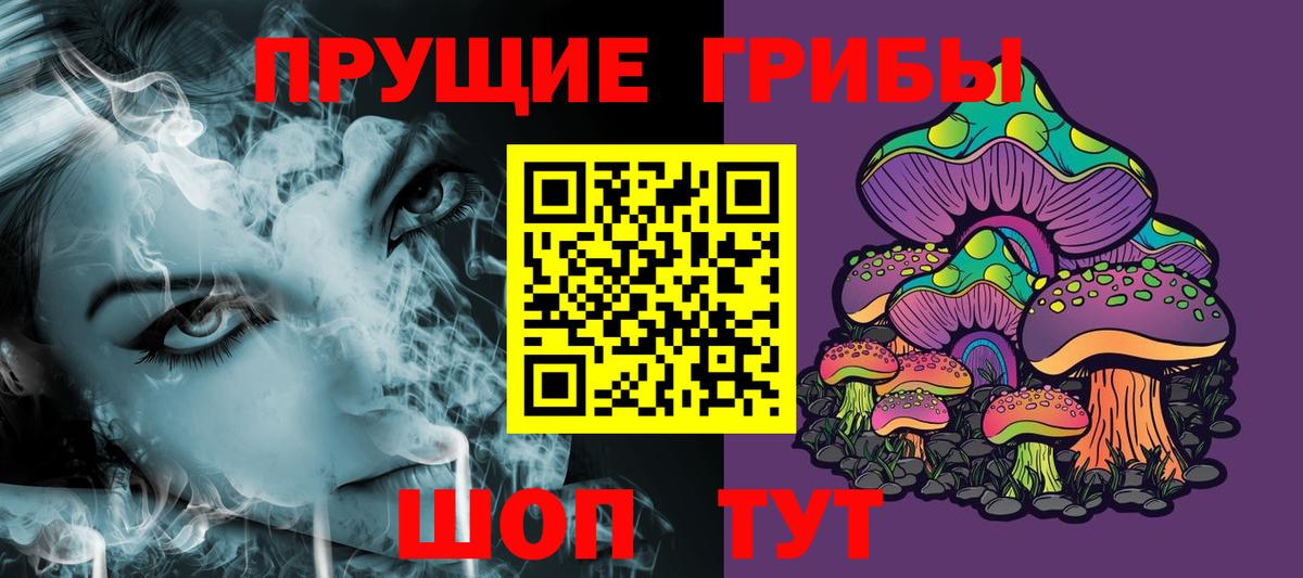Карпинск  Галлюциногенные грибы Psilocybine cubensis  Вход с VPN 